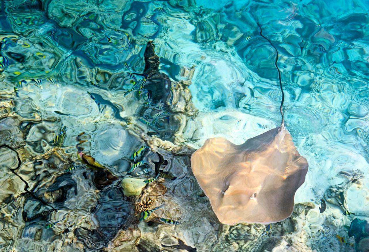 Ocean Village Maldives Holhudhoo Zewnętrze zdjęcie