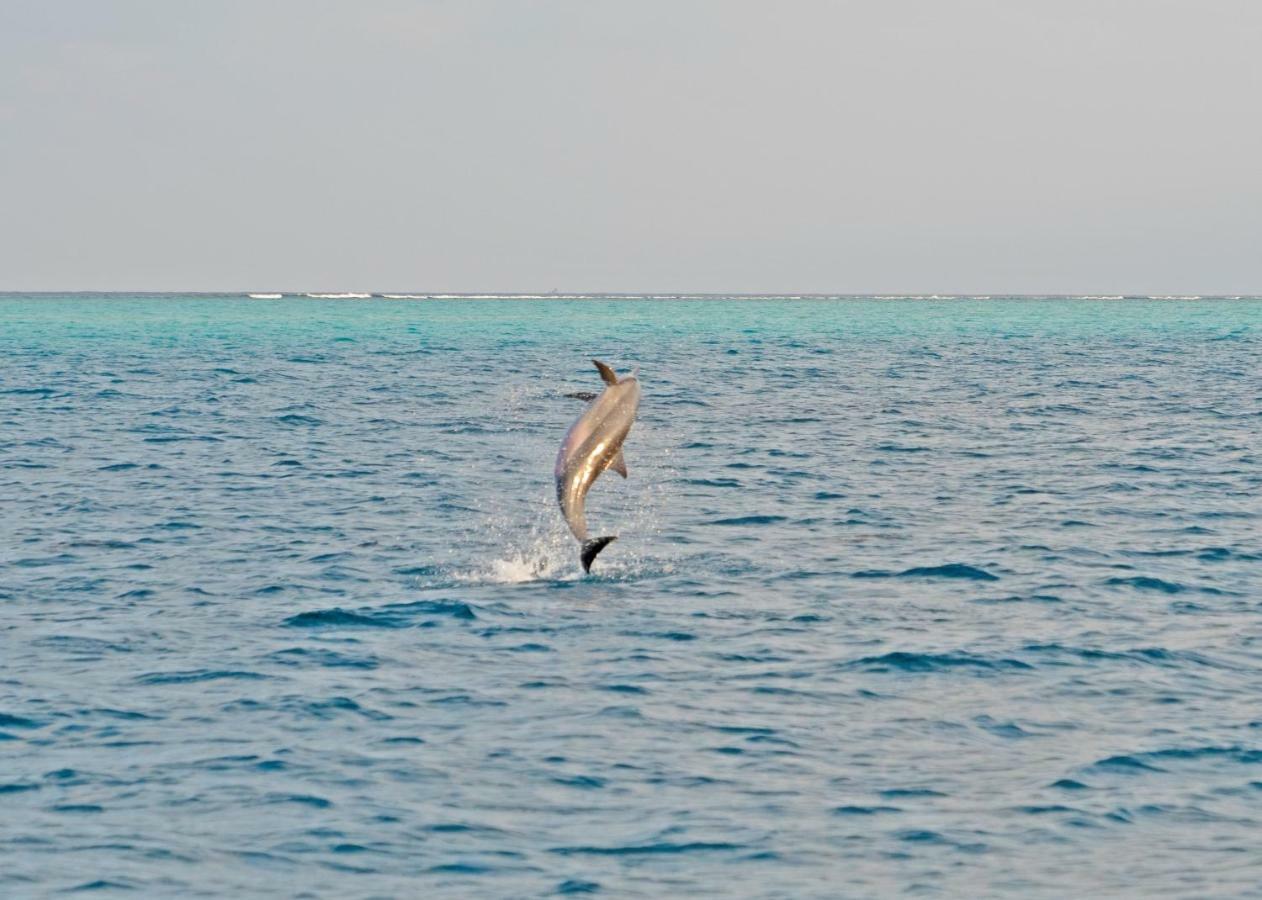 Ocean Village Maldives Holhudhoo Zewnętrze zdjęcie