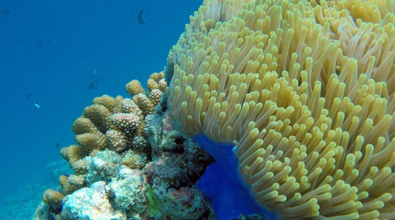 Ocean Village Maldives Holhudhoo Zewnętrze zdjęcie