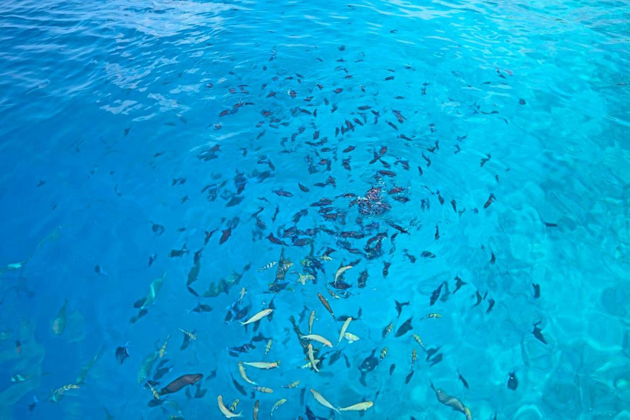 Ocean Village Maldives Holhudhoo Zewnętrze zdjęcie