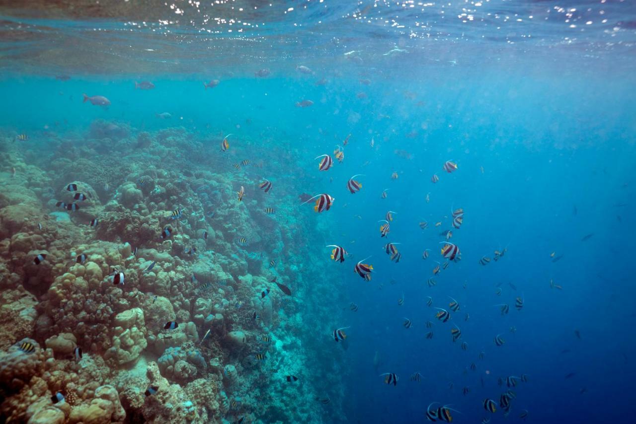 Ocean Village Maldives Holhudhoo Zewnętrze zdjęcie