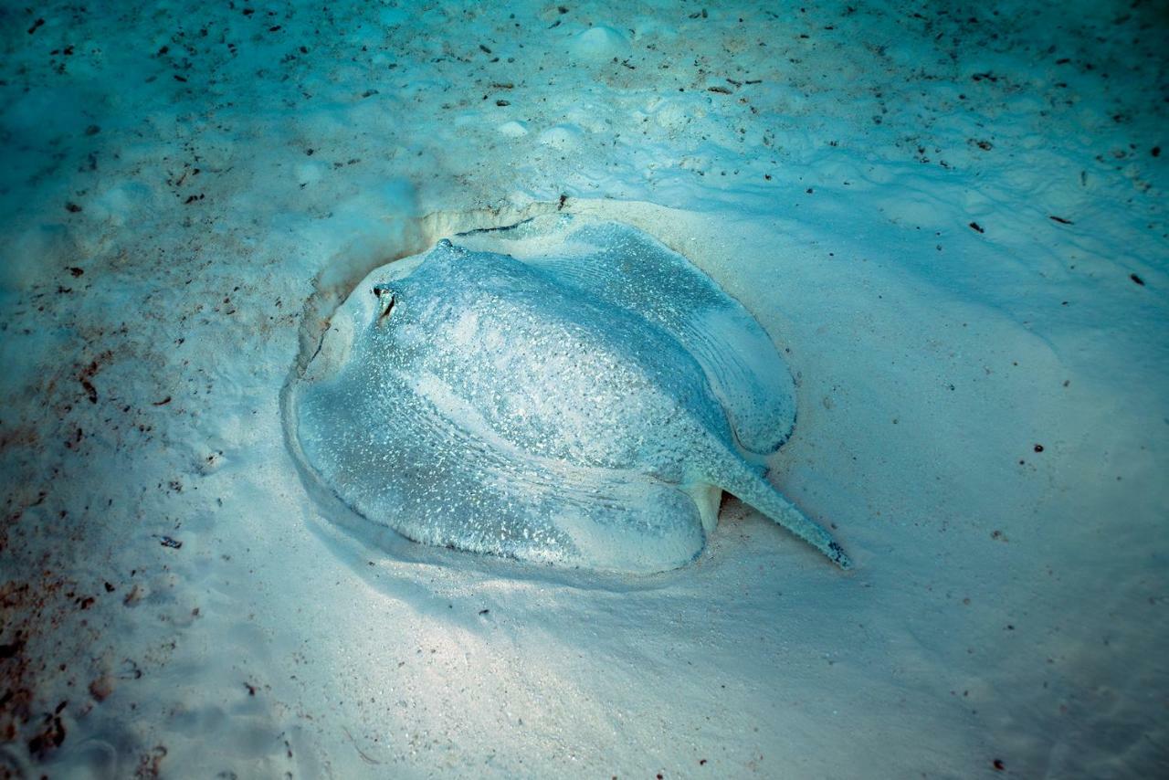 Ocean Village Maldives Holhudhoo Zewnętrze zdjęcie