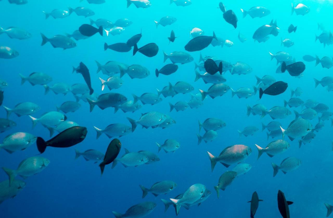 Ocean Village Maldives Holhudhoo Zewnętrze zdjęcie